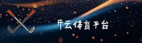 使用指南与常见问题